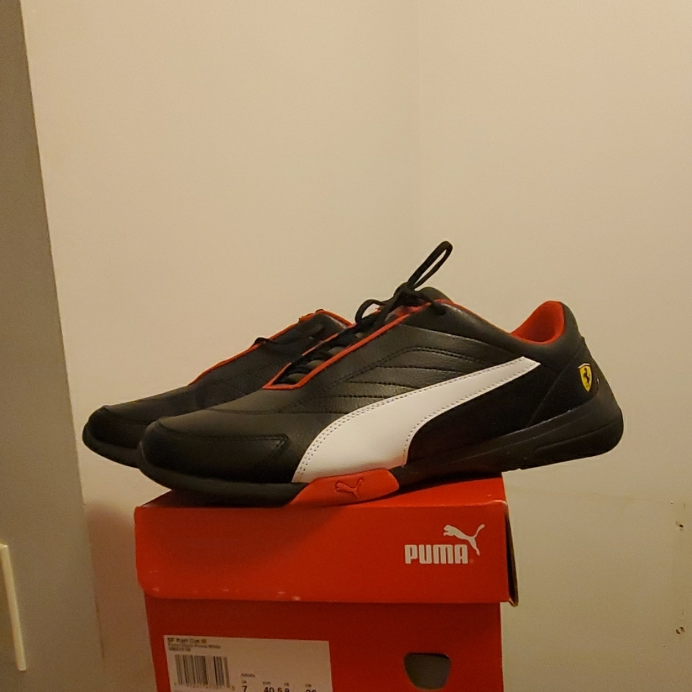 Sf kart cat III puma